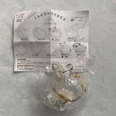 うちの子のけだまだま　チワワ*