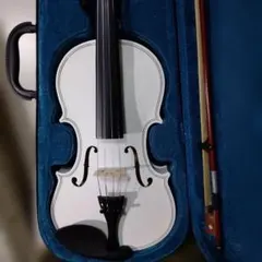 2026年最新】VIOLINの人気アイテム - メルカリ