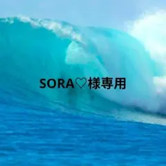 SORA♡様専用
