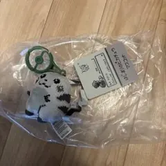 マスコット　はじまりのピカチュウ ポケモンセンター ポケモン ぬいぐるみ