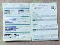 日本駐車場開発 株主優待　１冊