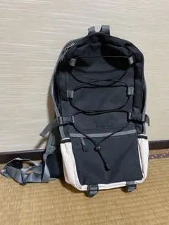 Simple, compact backpack with chest and waist straps. Excellent condition. Suitable for hiking.