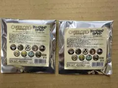 オーバーロード　缶バッジ　2個セット