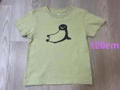 新品graniphグラニフSuicaスイカペンギン半袖TシャツXL坂崎千晴 Suicaのペンギンで有名な「さかざきちはる」とグラニフにコラボ