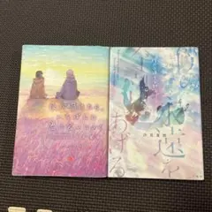 汐見夏衛 作品集 2冊セット