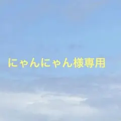 にゃんにゃん様専用