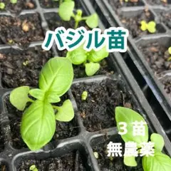 jam様 リクエスト 3点 まとめ商品