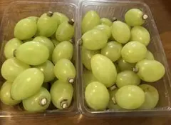 ジュエルマスカット（粒）箱込900g