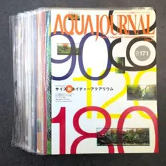 2026年最新】八海石の人気アイテム - メルカリ