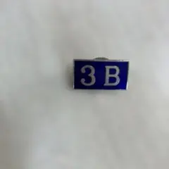 クラスバッジのサムネイル