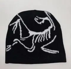 ビーニー 黒　ストリート/Y2K