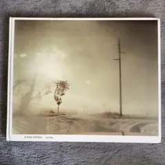 超希少！サイン入り❗️3000部限定！Todd Hido/写真集/トッド・ハイド
