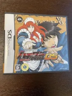 ハチワンダイバーDS