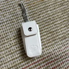 キスマイ　リップケース