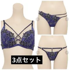 Ravijour ブラ ショーツ Tバック 3点セット