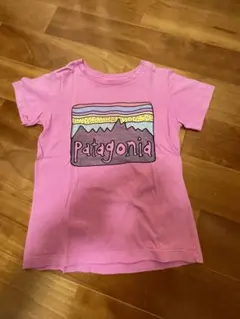Patagonia 女の子Tシャツ　4Tサイズ　100〜110のサムネイル