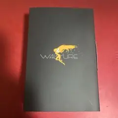 Walkman NW-A105 ソードアート・オンライン コラボ(黒／アスナ