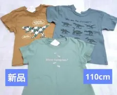 恐竜 Tシャツ 110 cm セット