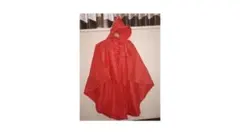 Tokyo Disney Resort ミッキー レインポンチョ160cmのサムネイル