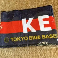 Item thumbnail for item 84c29a49-2043-42c3-9f67-58339bec1835