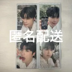 ゼベワン　ゴヌク　まとめ　９枚