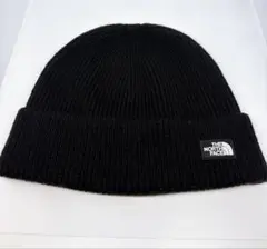 【美品】THE NORTH FACE ニット帽 ロゴワッペン ビーニー