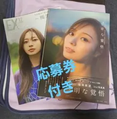 Item thumbnail for item 1e4060f6-1f50-43f8-9f2f-f9a342cd0a10