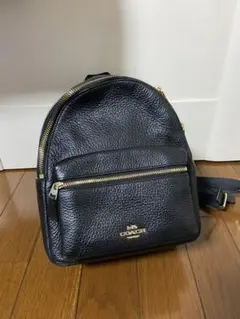 COACH コーチ ミニリュック　F28995