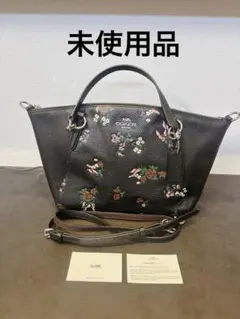 Item thumbnail for item 4f0d9908-8c3a-4fad-8ef3-cc1a5448ad1a