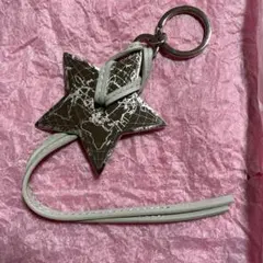 ディオール　チャーム星