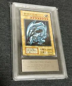 2026年最新】ブルーアイズホワイトドラゴン ステンレスの人気アイテム