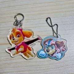パウパトロール スカイ アクリルキーホルダー 2点セット 美品 オーロラ仕様