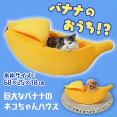 Item thumbnail for item f8c6bf56-1aed-4b95-af9d-7a2280787788