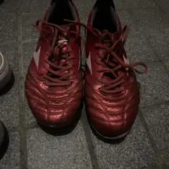 モレリアネオ4Japan