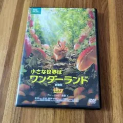 小さな世界はワンダーランド 劇場版 DVD - メルカリ