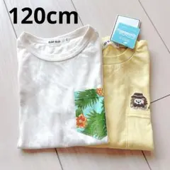 【SLAPSLIP】Tシャツ 2枚セット 120cm