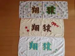 Item thumbnail for item f7428a8a-b4f4-45d4-9099-f384f28fcbb4