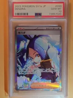 キハダ SAR PSA10のサムネイル