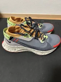 Nike Pegasus GTX トレイルランニングシューズ 25.5cm