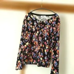 Item thumbnail for item 072ee033-319c-4c01-b392-e0644436b51c