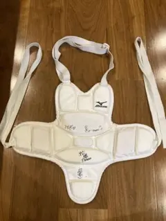 Mizuno 胴プロテクター　Sサイズ　首かけタイプ　サインあり
