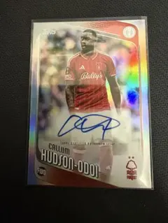 Item thumbnail for item e5e80052-574f-4e2c-a79e-96b942b86950