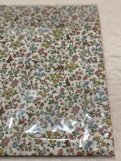 Item thumbnail for item 89c7c894-5c66-4b32-a4b7-ac116bf39f06