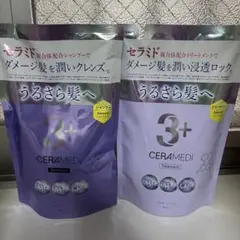 Item thumbnail for item e4bae4bf-8c3c-4e6d-83ca-3414d436f430