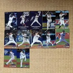 2025年カルビープロ野球チップス　ヤクルト　12枚セット