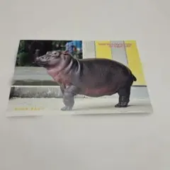 Item thumbnail for item 629563ca-b941-4299-9207-2fa701429e89