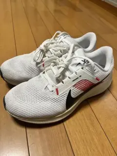 ペガサス41 キプチョゲ