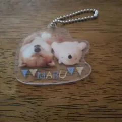 MARU アクリルキーホルダー 3点セットのサムネイル