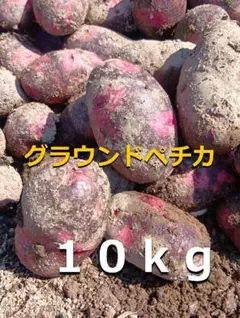 じゃがいも グラウンドぺチカ(デストロイヤー）10キロのサムネイル