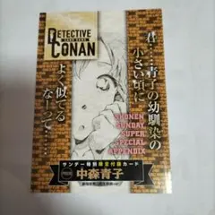 特別限定付録 名探偵コナン TCGカード ジン ゲッサン2024年12月号
